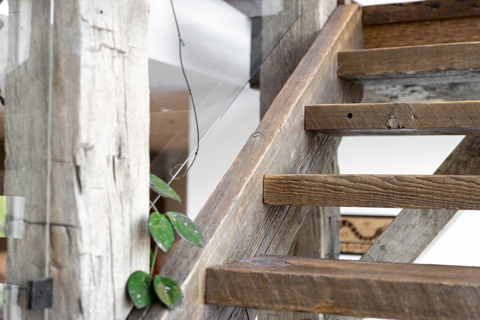 Wooden staircase beside white posts with a small green vine growing near the steps