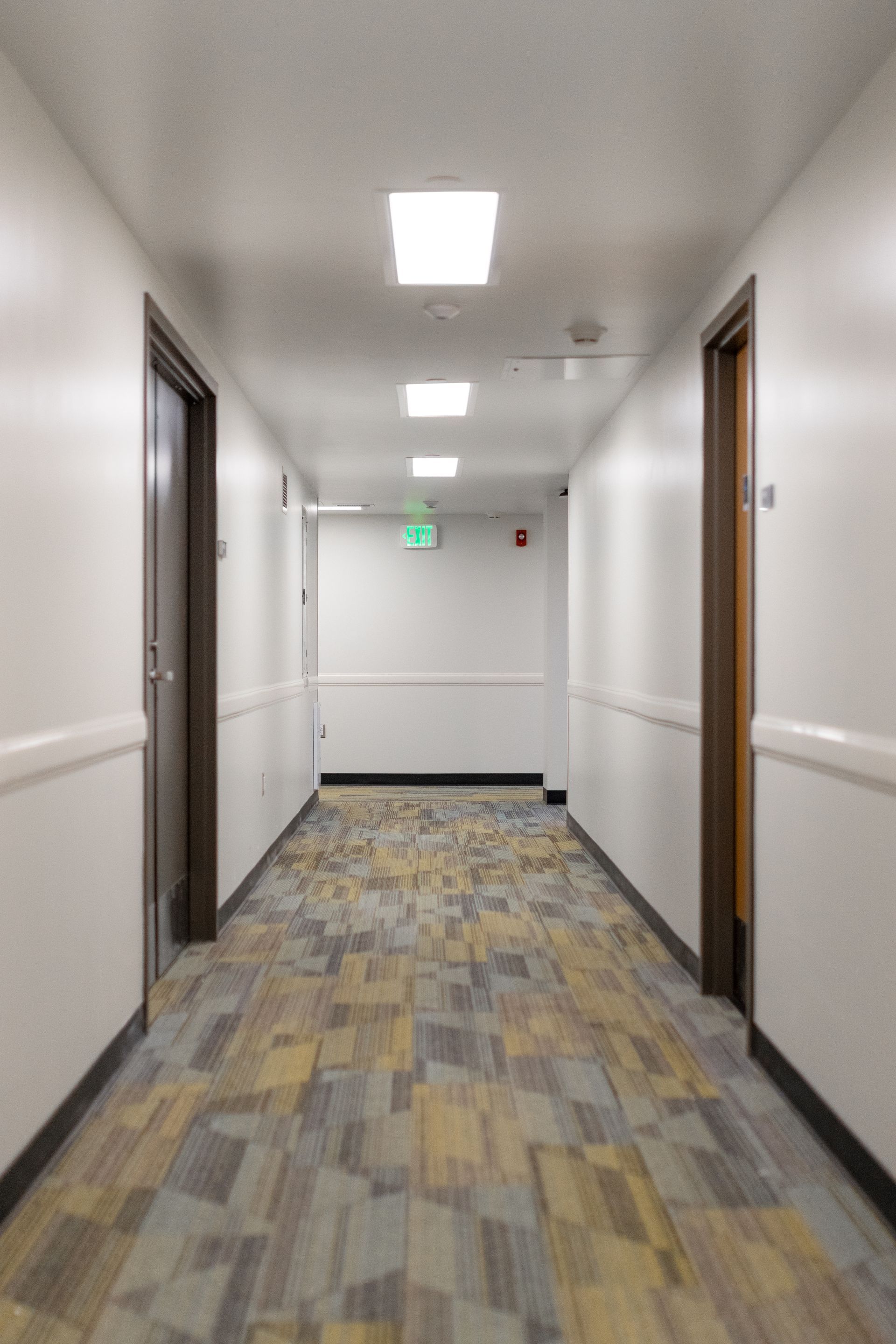 Hamilton Hall's hallway with patterned carpet, white walls, ceiling lights, and open doorways on both sides