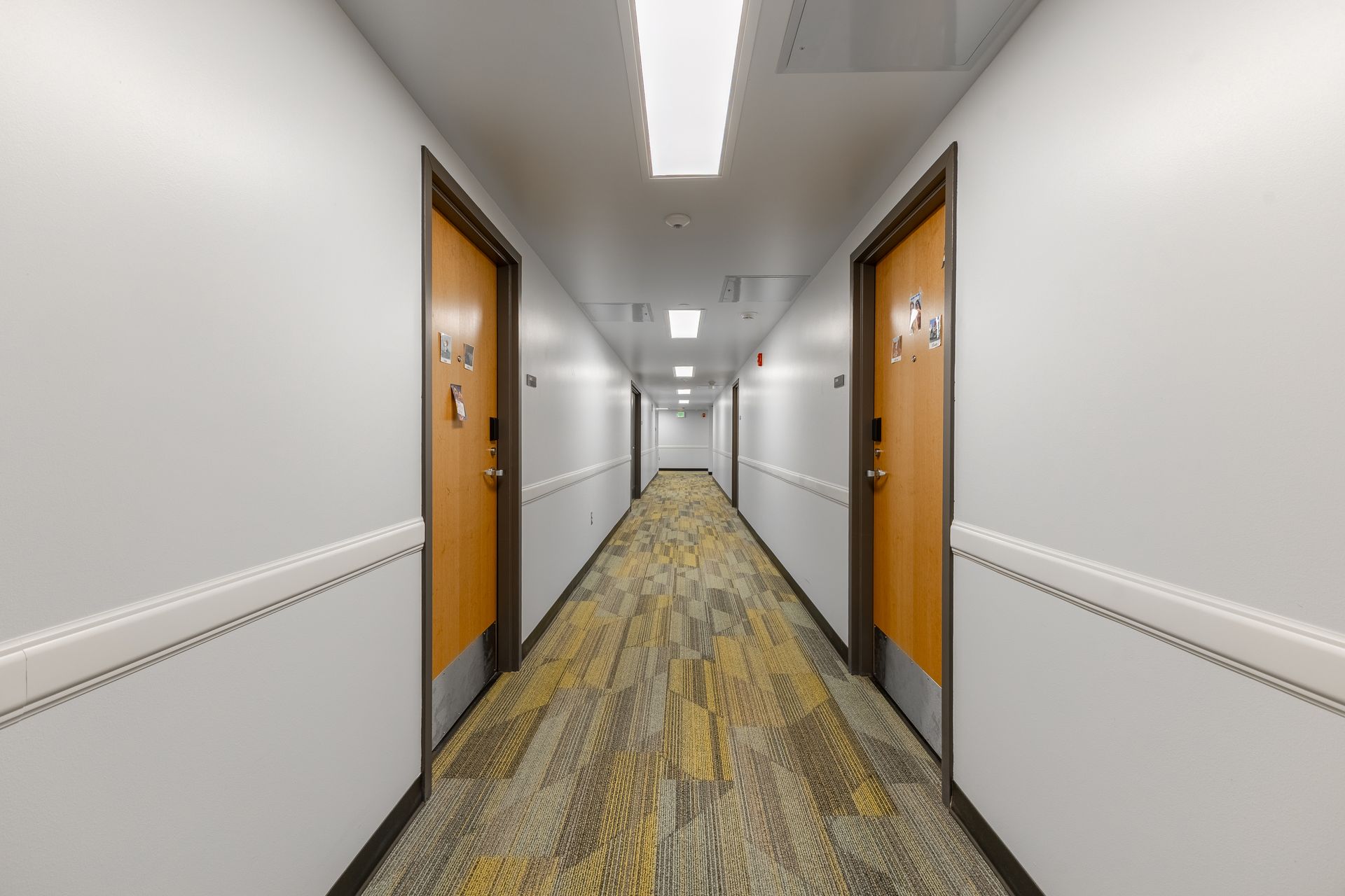 Hamilton Hall's hallway with orange doors, white walls, and patterned carpet leading to a distant exit.