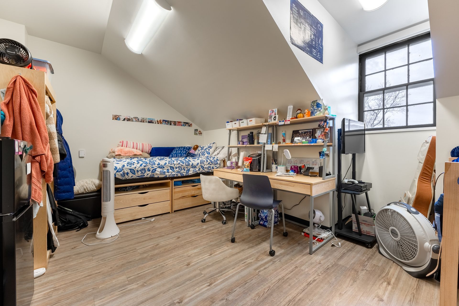 Hamilton Hall's loft bedroom with desk, bed, chair, shelves, and large window, lit by daylight