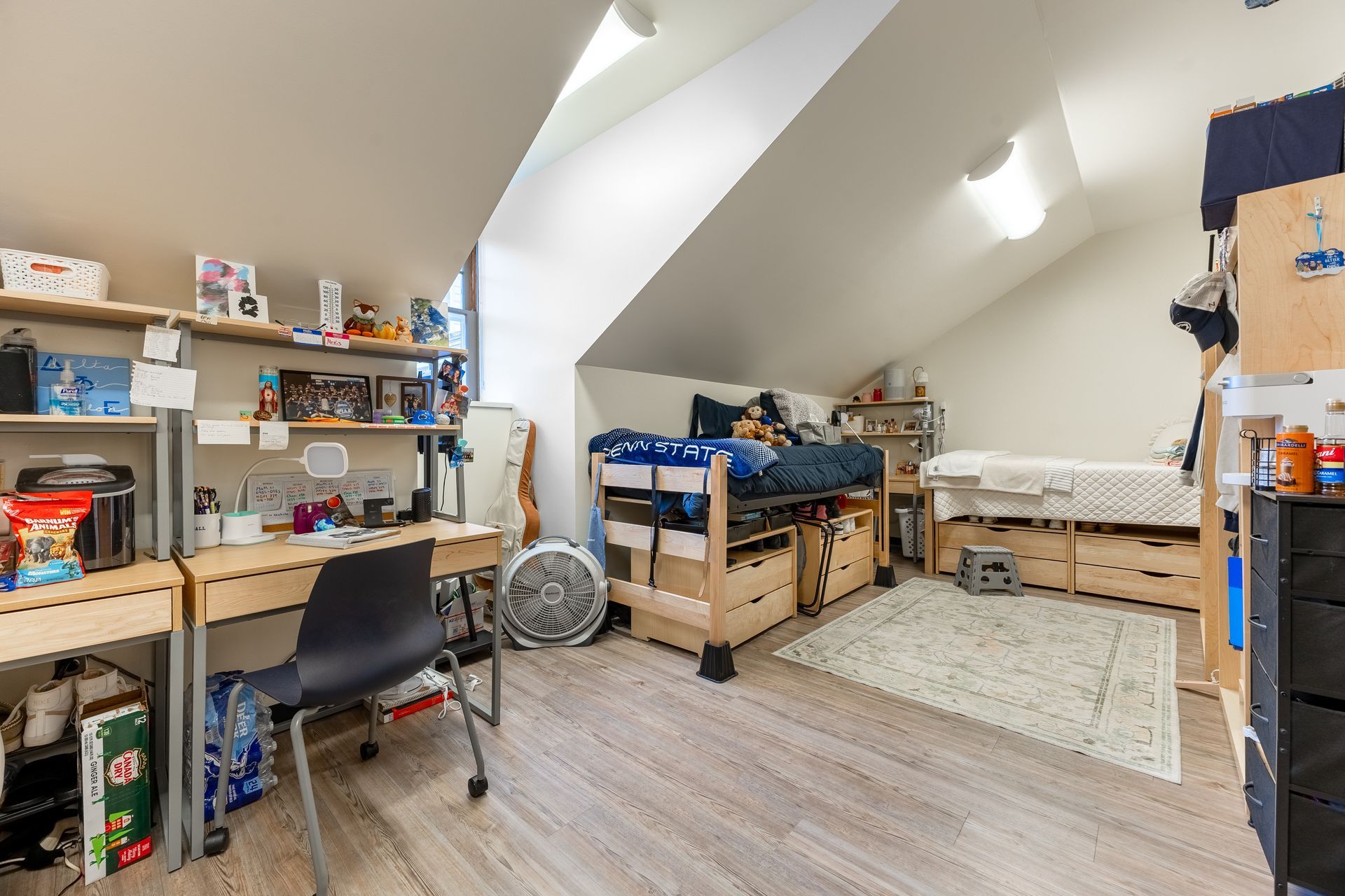 Hamilton Hall's shared attic bedroom with two beds, desks, shelves, and slanted skylights in a bright room