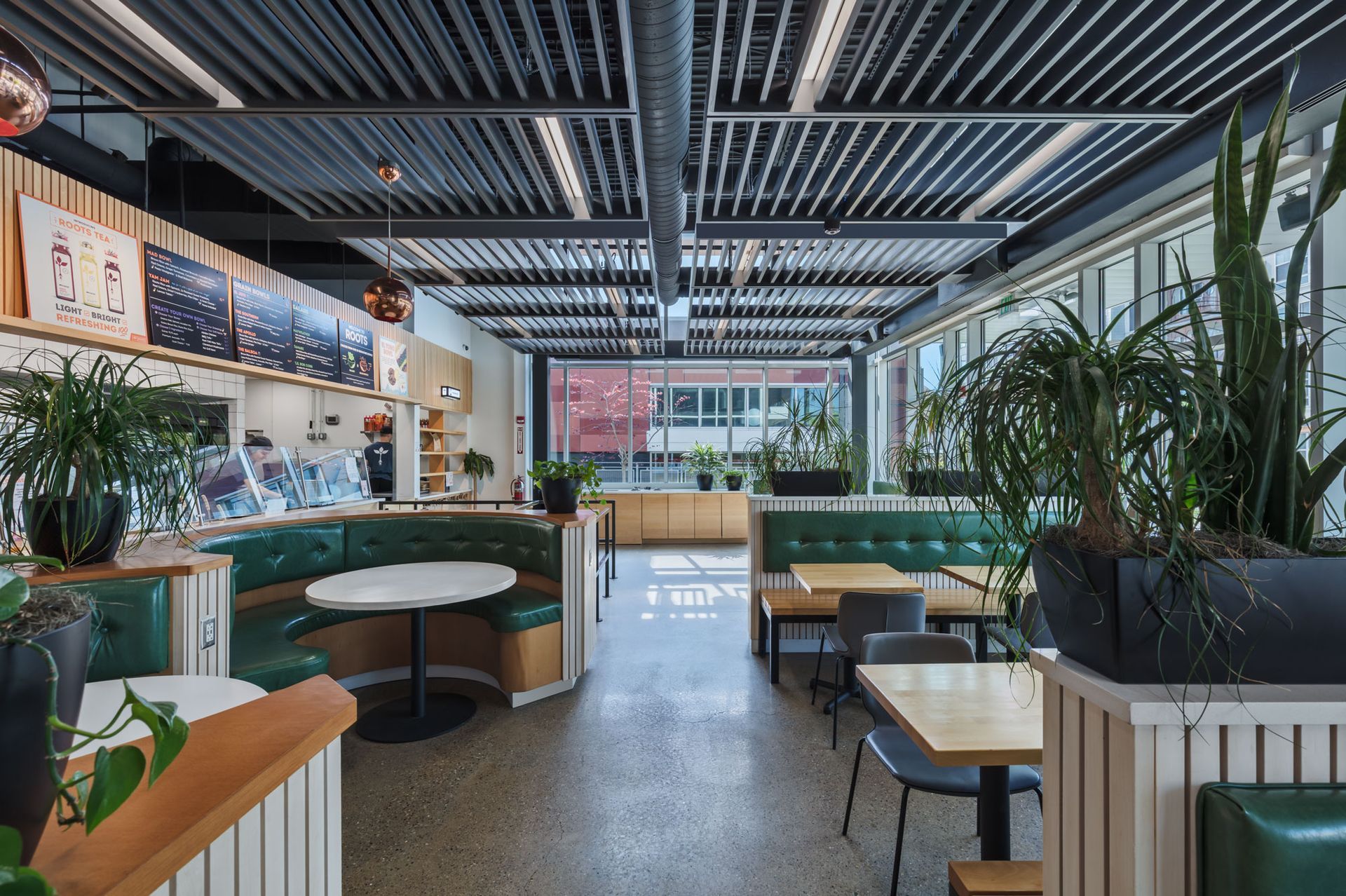 Roots Natural Kitchen's interior with green booths, potted plants, and a bright skylit ceiling