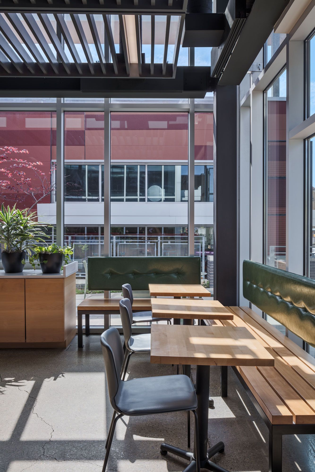 Roots Natural Kitchen's interior seating area with wooden tables, chairs, and large windows overlooking a courtyard.
