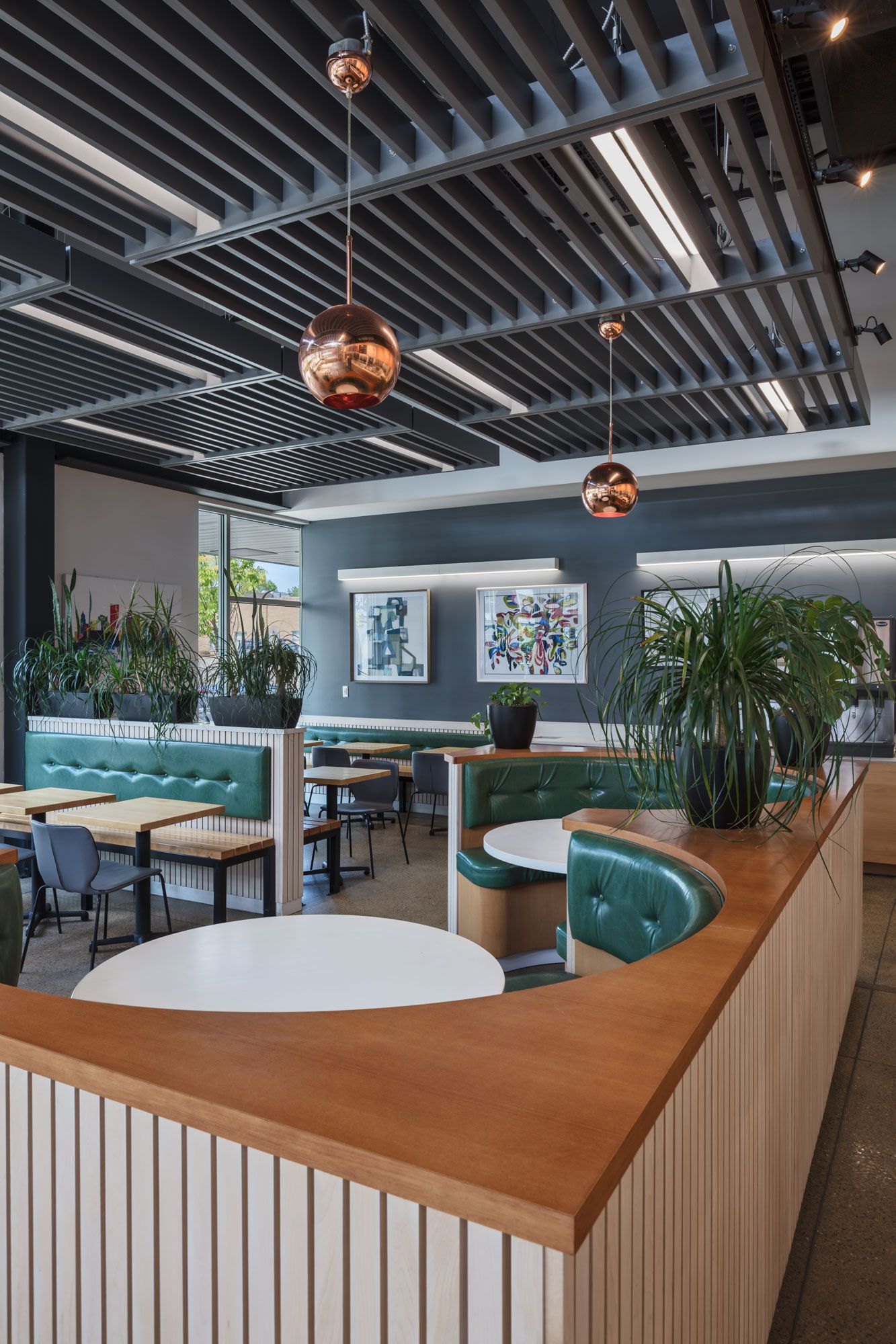 Roots Natural Kitchen's interior lounge with teal seating, wood accents, hanging lights, and indoor plants