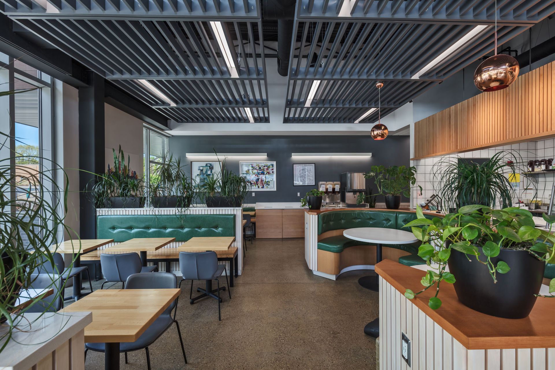 Roots Natural Kitchen's interior with wood tables, teal booths, hanging lights, and lots of green plants