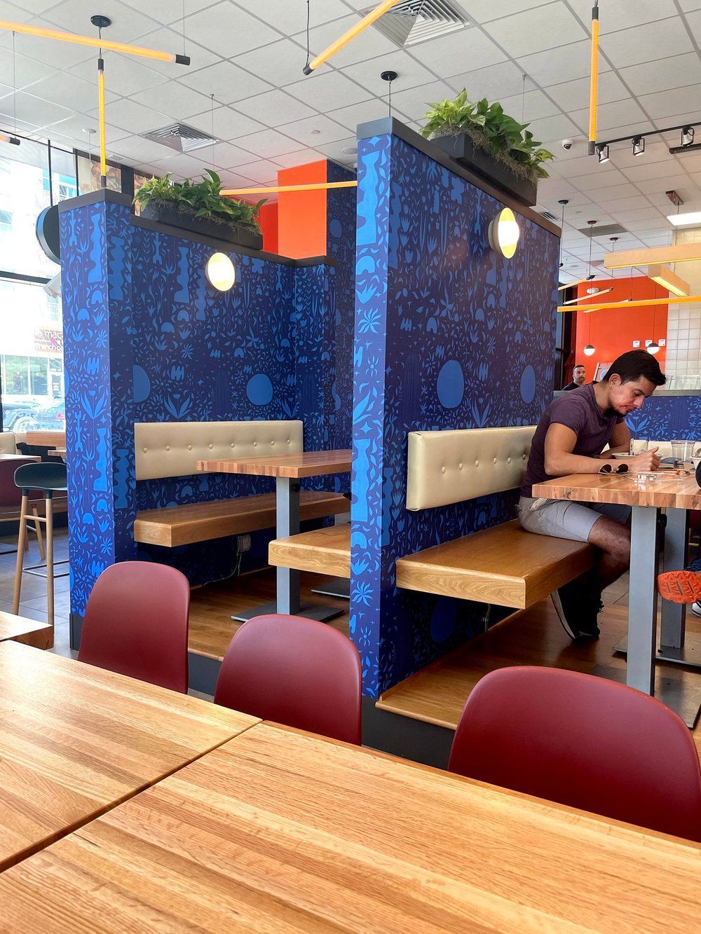 Roots Natural Kitchen's blue partitioned booths with wooden tables; one person sits at a booth in a bright cafe.