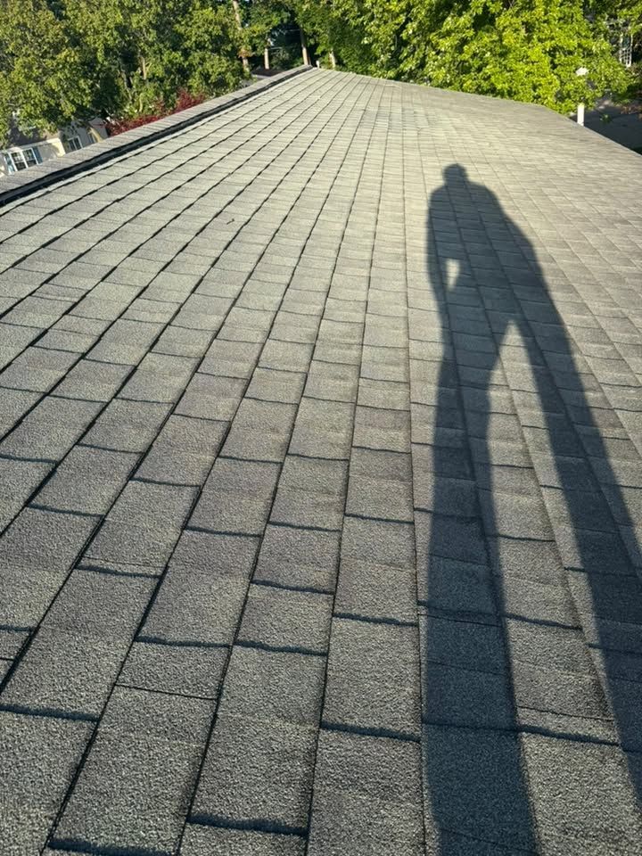 Long shingled roof with a person's shadow cast across it, surrounded by green trees.
