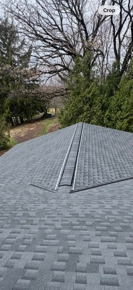 Gray shingled roof with a ridge vent, backed by leafless trees and green shrubs