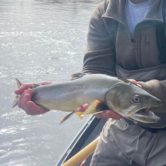 Rawhide River Trips Fishing