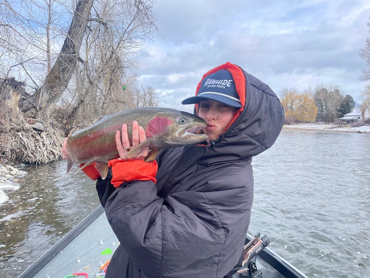 Steelhead fish close up