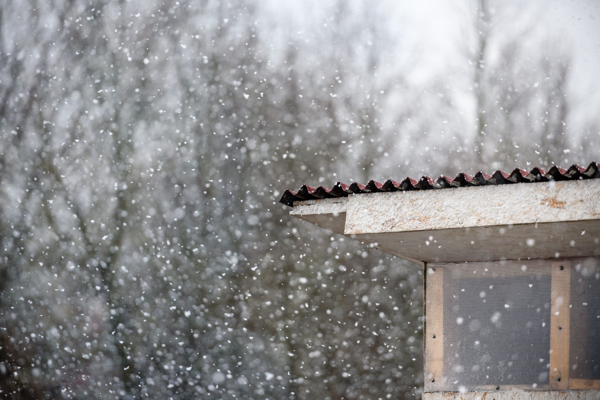 Snow falling over a house roof with bare trees in the background