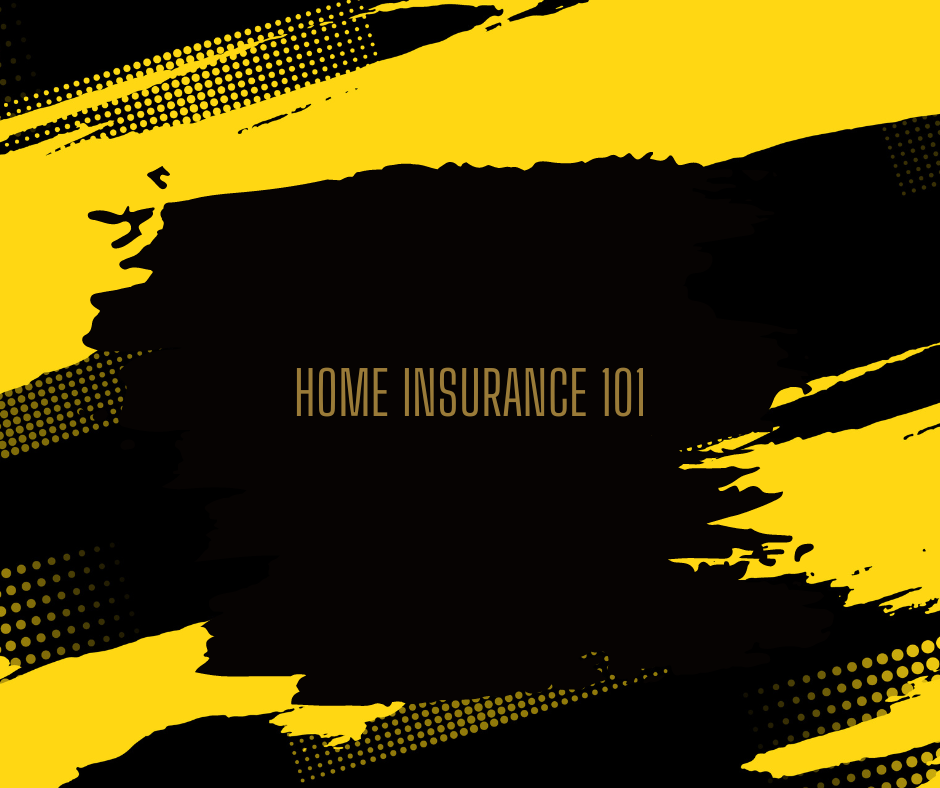 Black and yellow title slide reading “Home Insurance 101” with abstract paint-stroke design