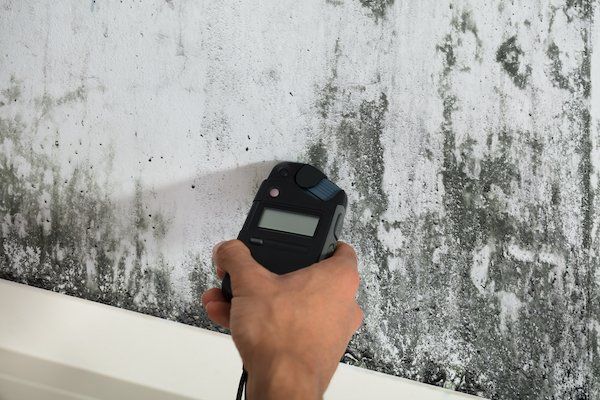 mold remediation louisville technology