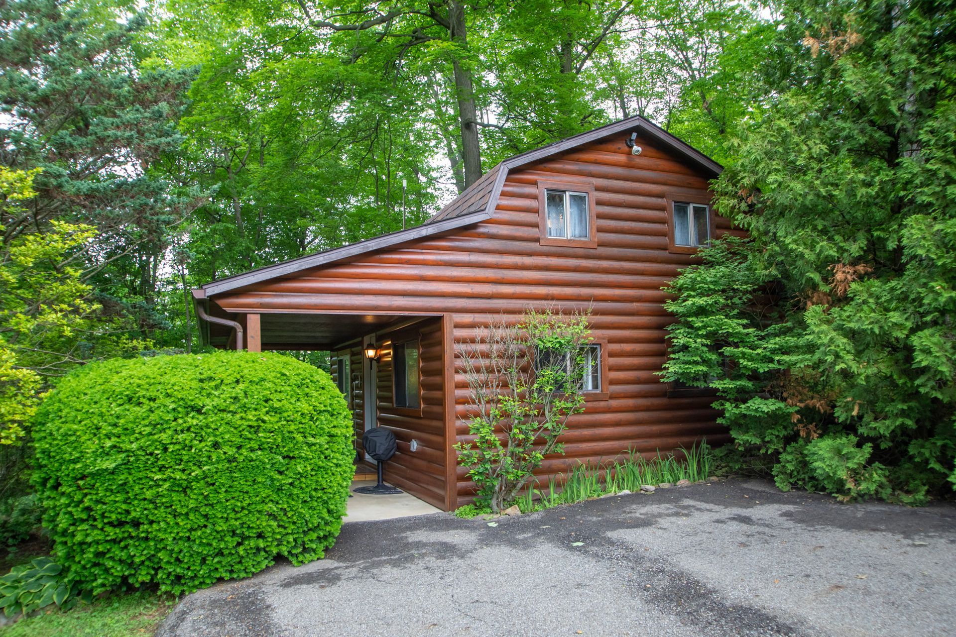 Wooden cabin surrounded by trees and bushes; covered porch.