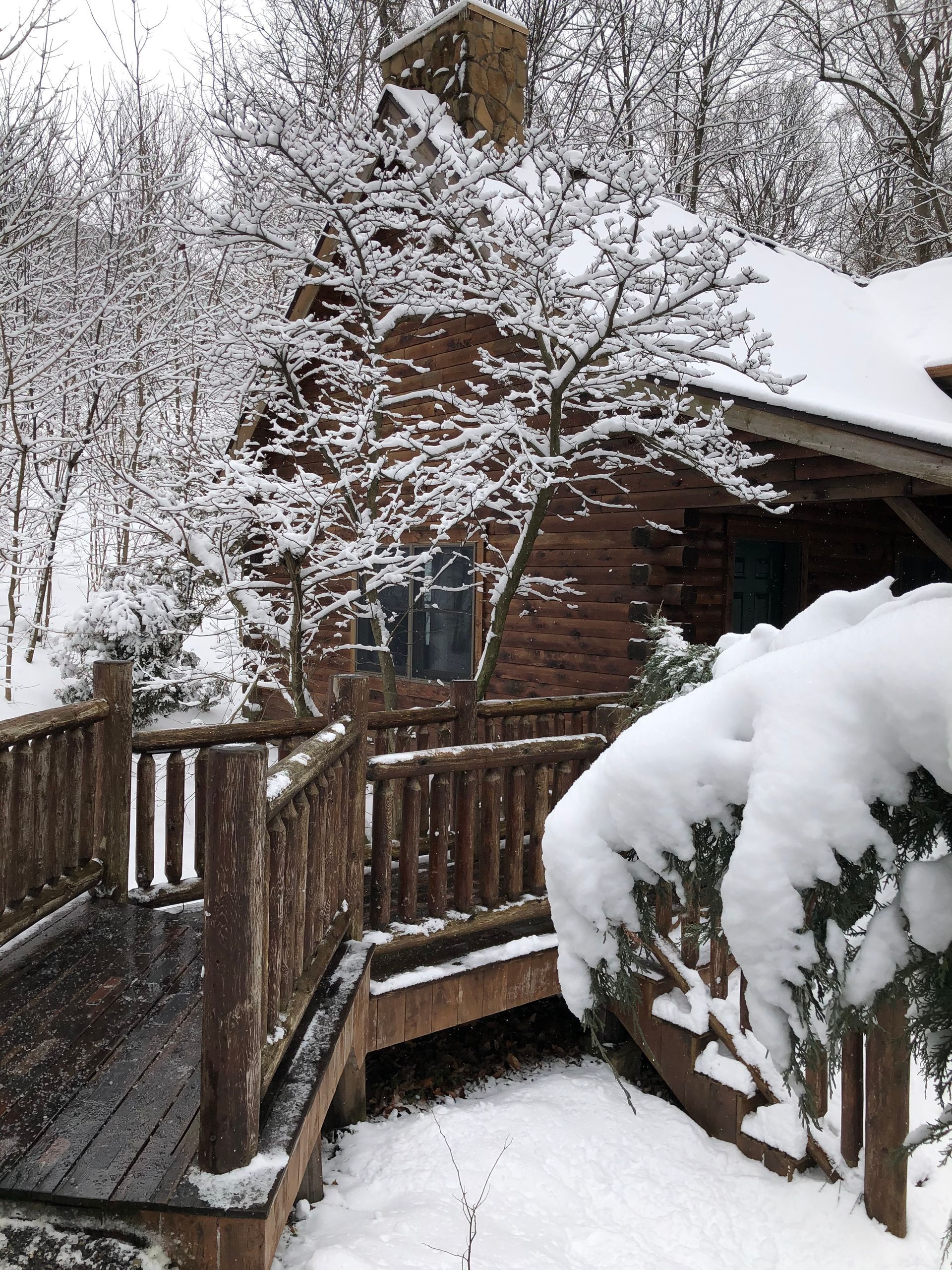 Wooden cabin and deck covered in snow. Snowy trees in background.