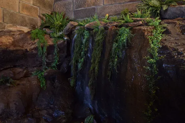 Waterfall cascading over dark rocks, with green plants growing along the top and sides.