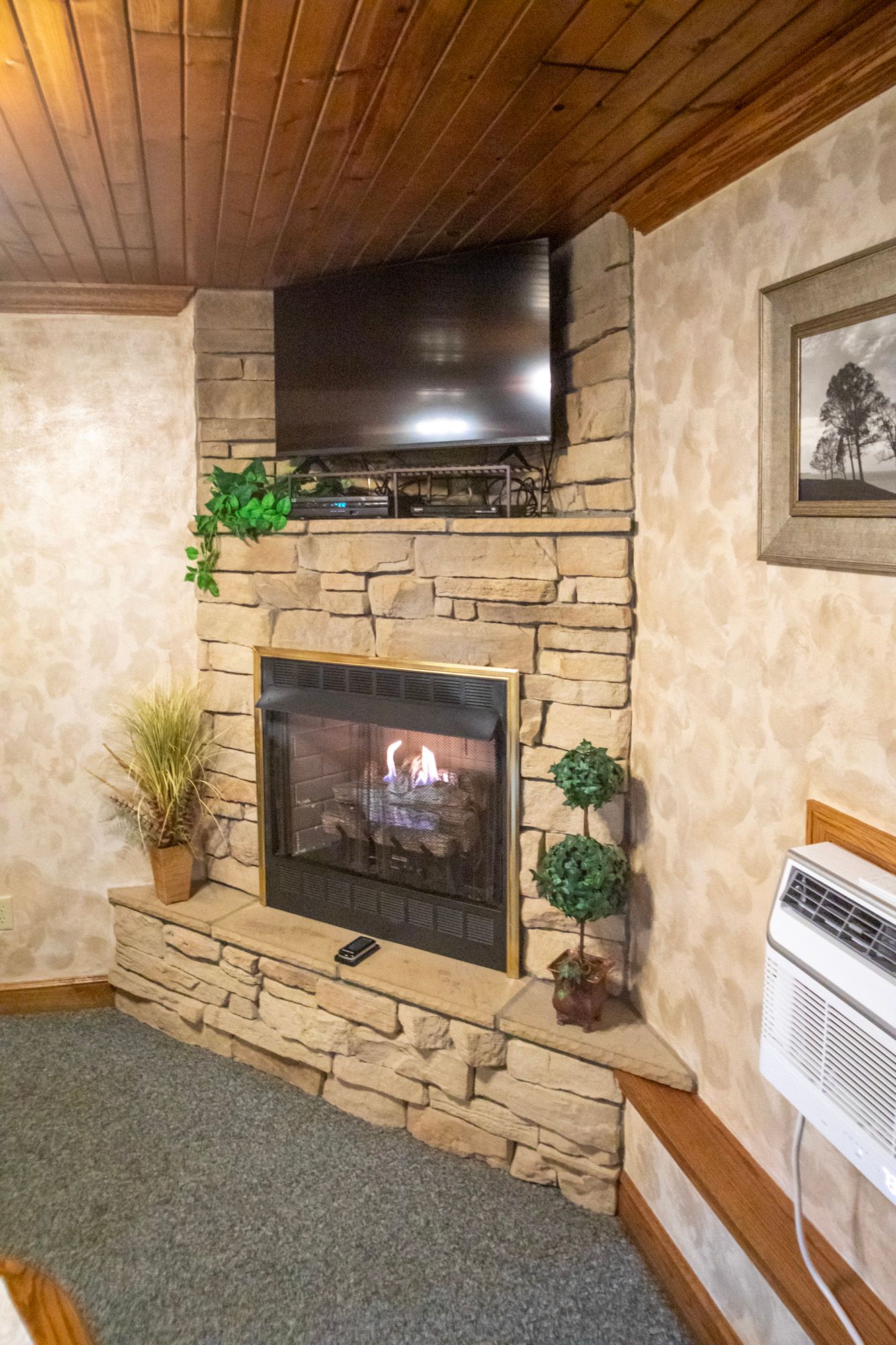 Corner fireplace with TV above, stone surround, wood ceiling, and a small plant.