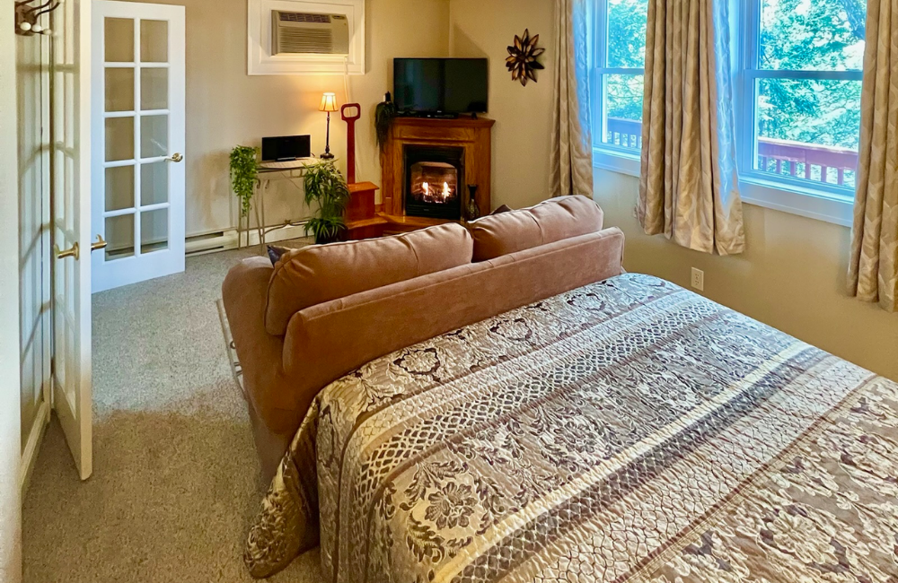 Small room with sofa-bed, fireplace, TV, windows with curtains, and French doors.
