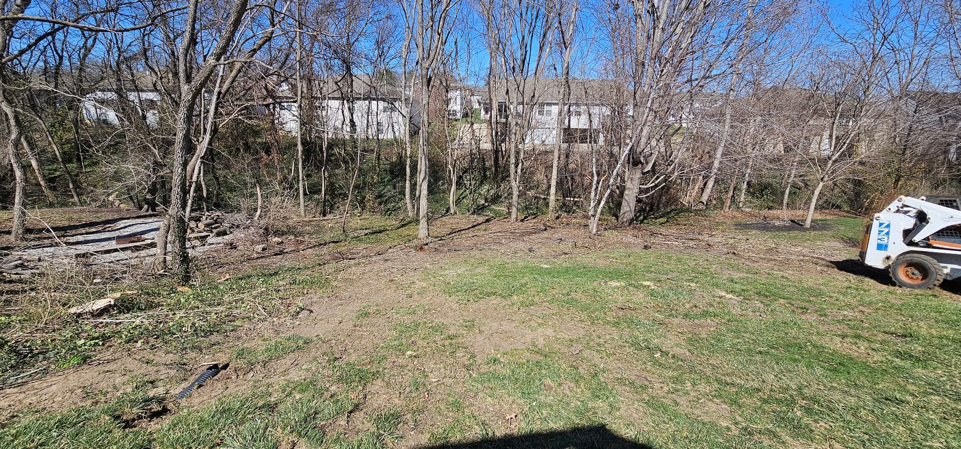 Leafy backyard with bare trees, green grass, and a small white-and-blue machine at the right edge