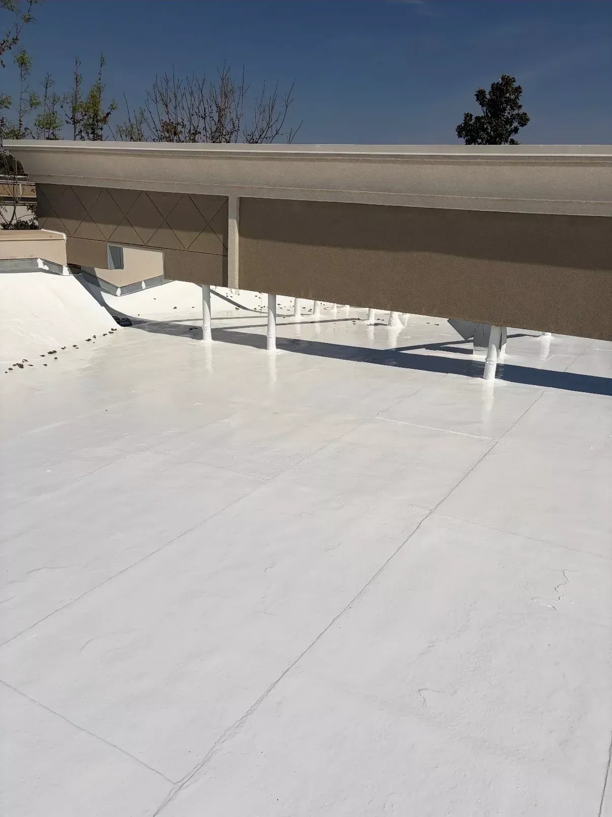 Commercial roofing experts in Bakersfield