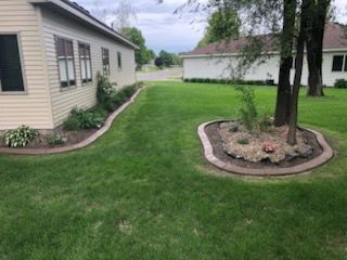 Backyard lawn between beige houses with landscaped tree bed and curved stone edging