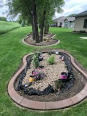 Curved garden bed with mulch, small plants, and decorative rocks beside a grassy lawn and house.