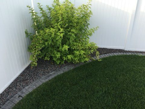 Green shrub in a corner beside a white fence and curved stone border with dark gravel and grass