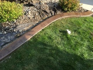 Curved garden border separating green lawn from gravel bed with shrubs and a small white bird on the grass