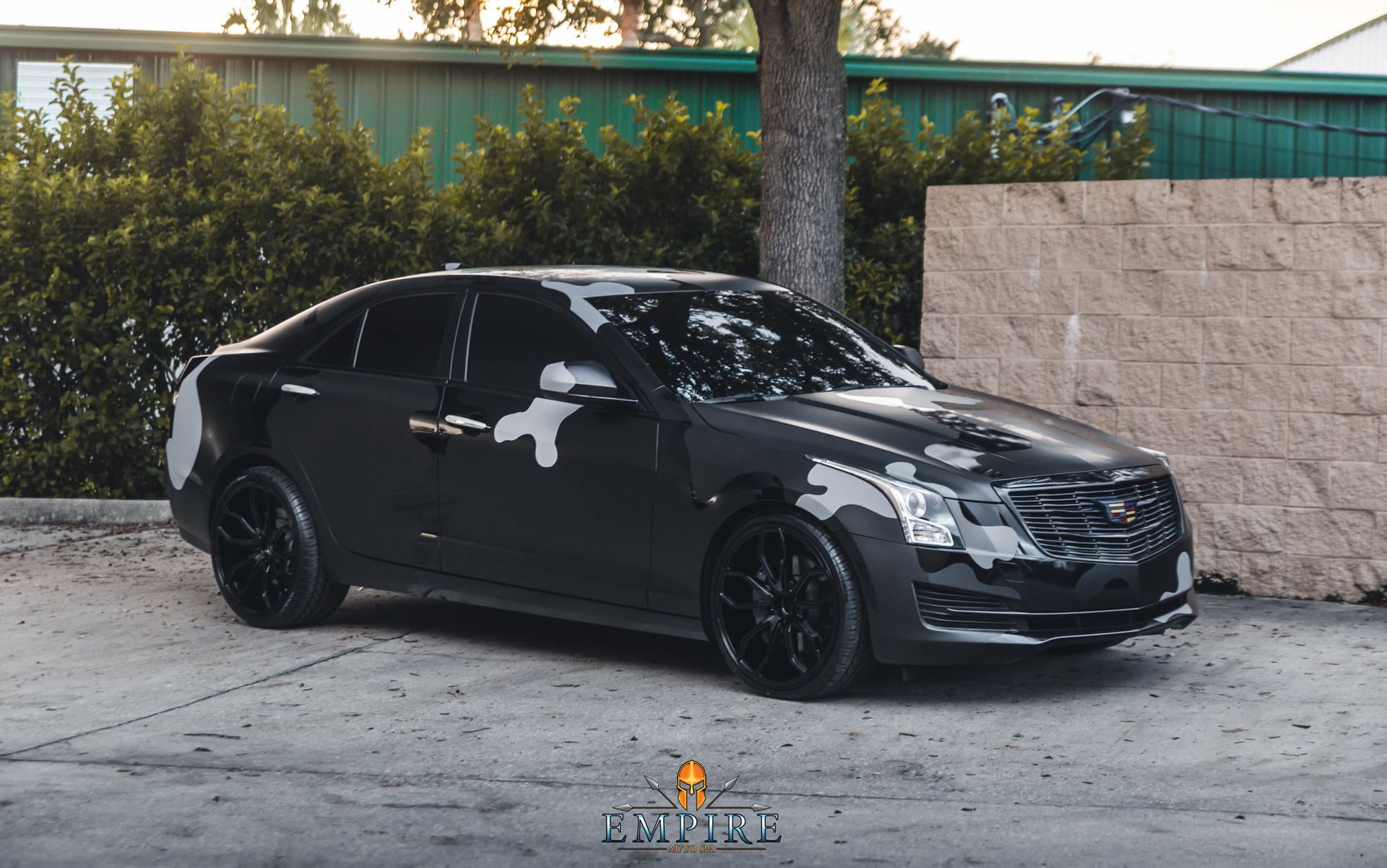 A black car is parked in a parking lot next to a tree.