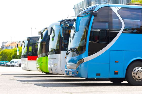 Row of colorful tour buses parked in a lot, with a bright blue bus in the foreground