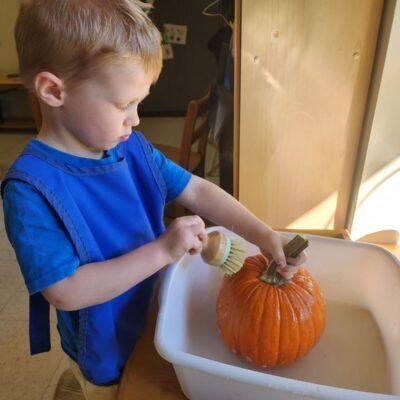 Young child in blue apron brushes a small pumpkin in a white basin of water.