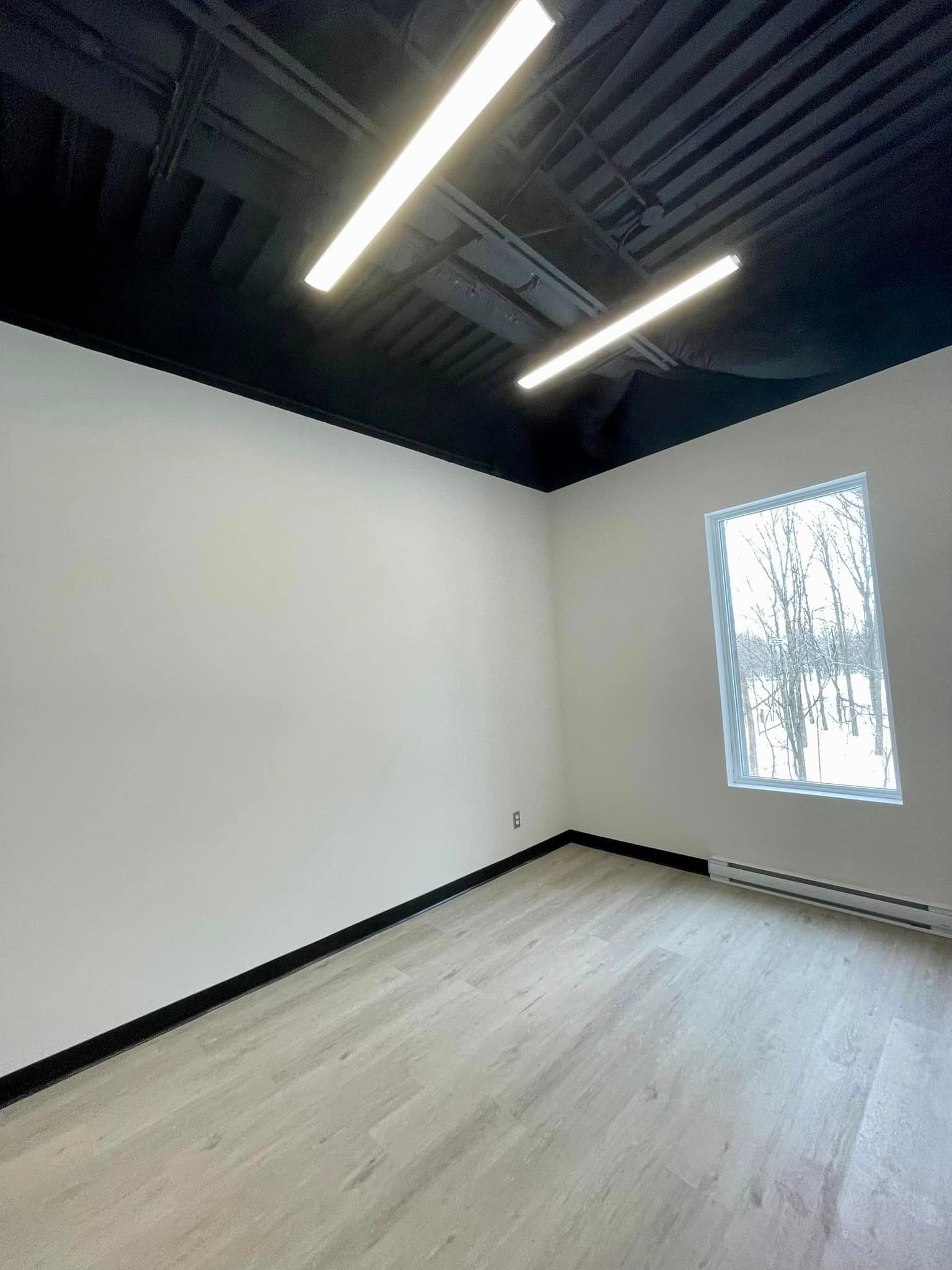 Empty room with white walls, black ceiling and trim, window, and wood-look flooring. Two lights hang overhead.