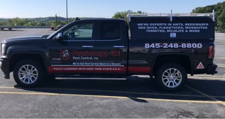 Pestology 101 Mobile Service