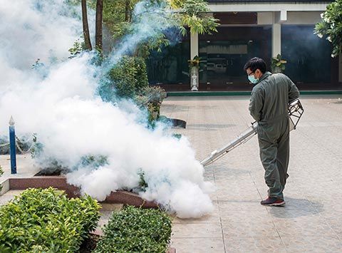 Commercial Pest Control Services in New York