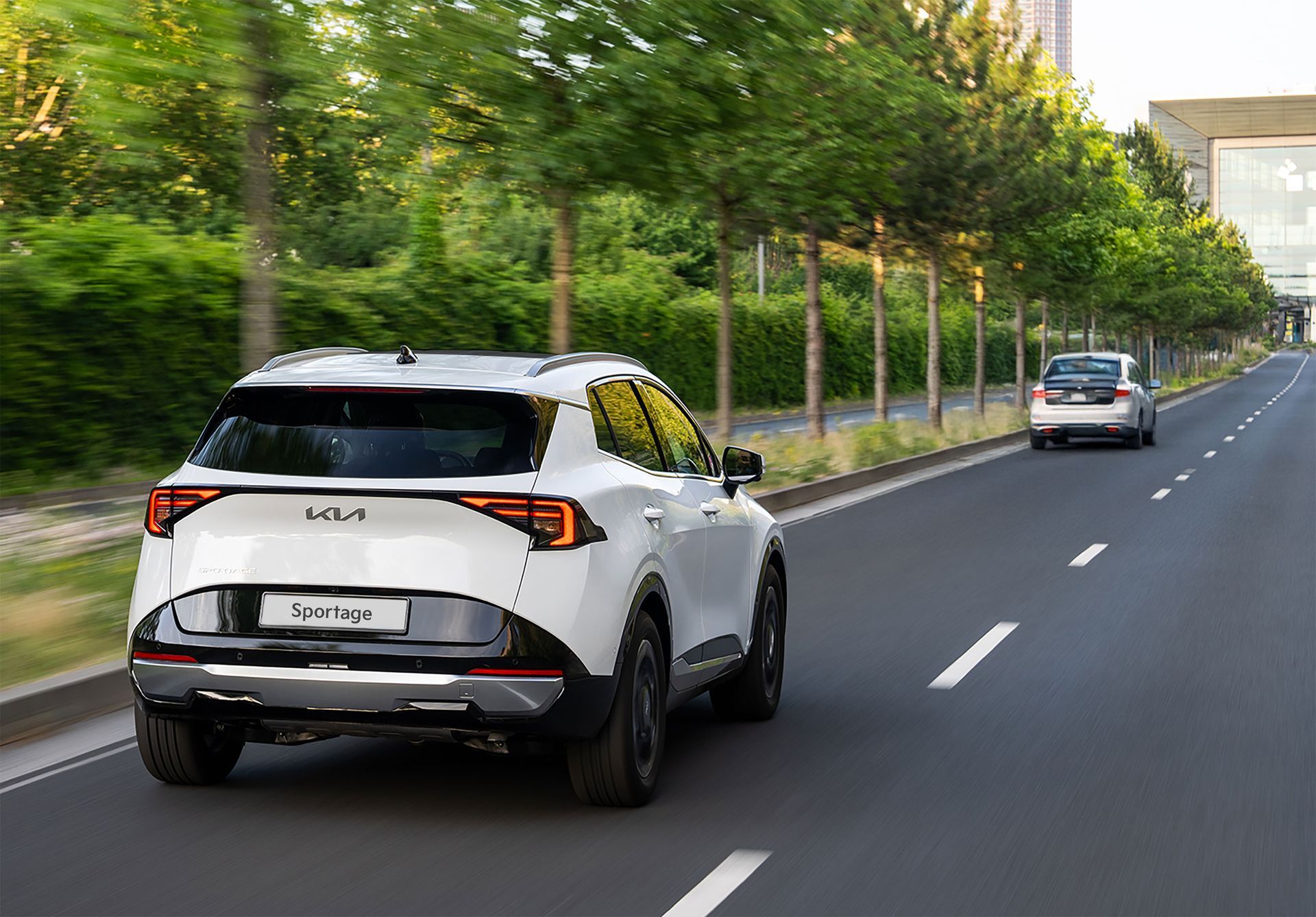 White SUV driving on a tree-lined road with another car ahead