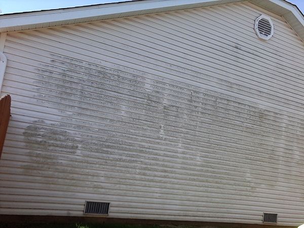Before professional house soft wash in Belleville, IL. SprytNa removing heavy algae growth from 1-story vinyl siding.