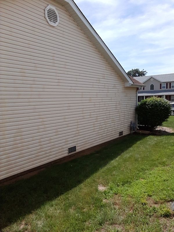 After soft washing a 1-story house in Belleville. Siding is still wet after SprytNa removed thick green algae growth.