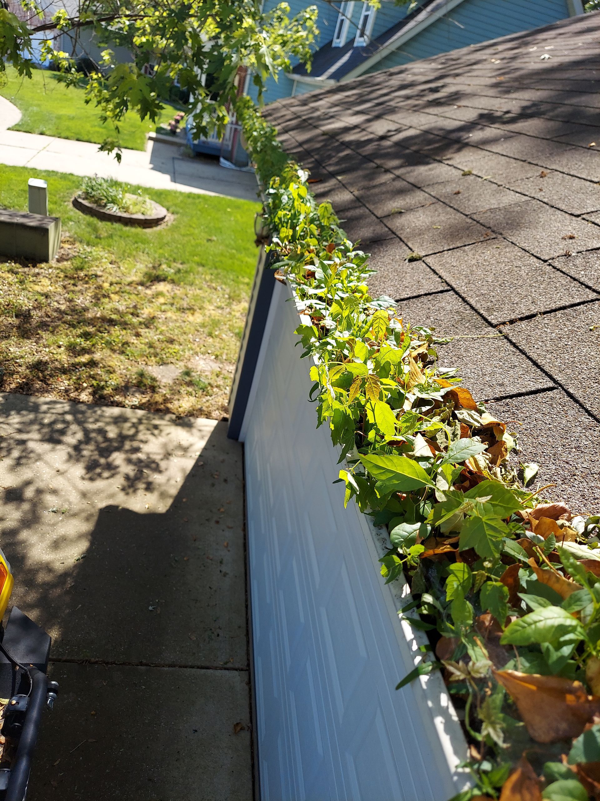 Gutter Cleaning Belleville & Metro East, IL