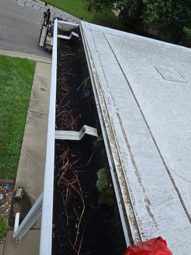 Clogged Gutters