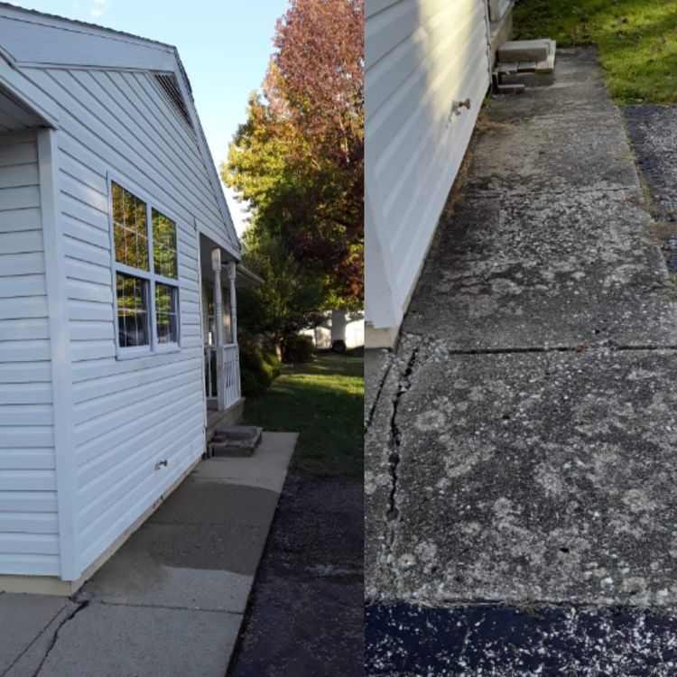 Before and after lichen removal from a concrete sidewalk in Swansea, IL. Professional pressure washing by SprytNa.