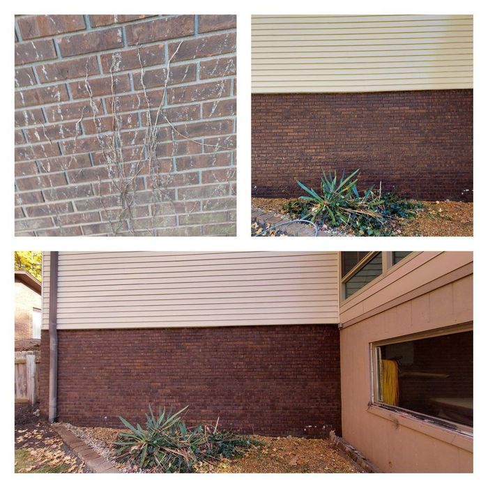 Lower brick wall on home, vine covered and grimy - No vines after pressure washing and eco-friendly cleaning solution.
