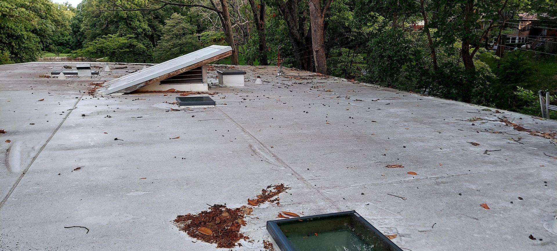 before: dirty membrane roof needing cleaning