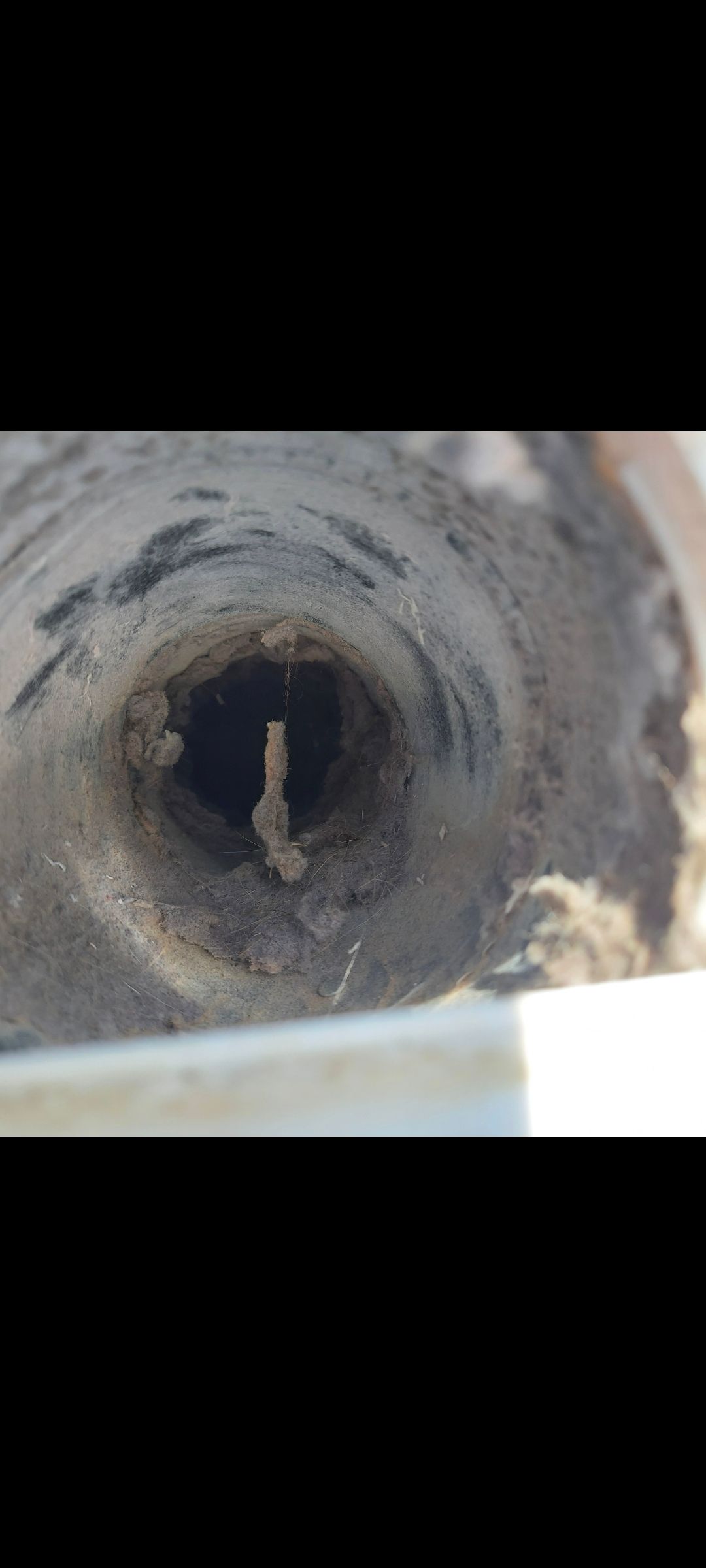 Dirty Dryer Vent