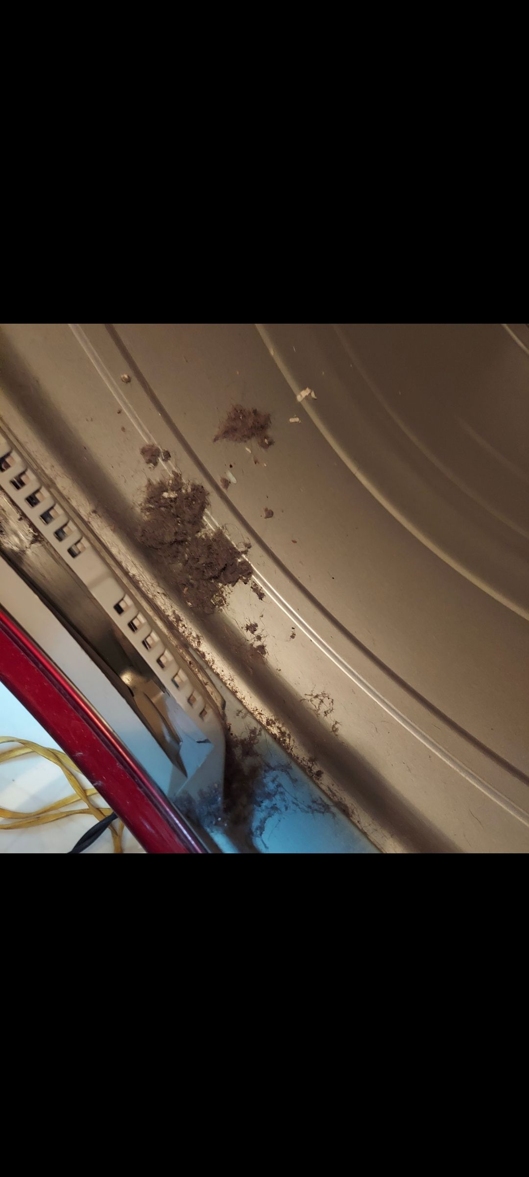 Dryer Lint Trap