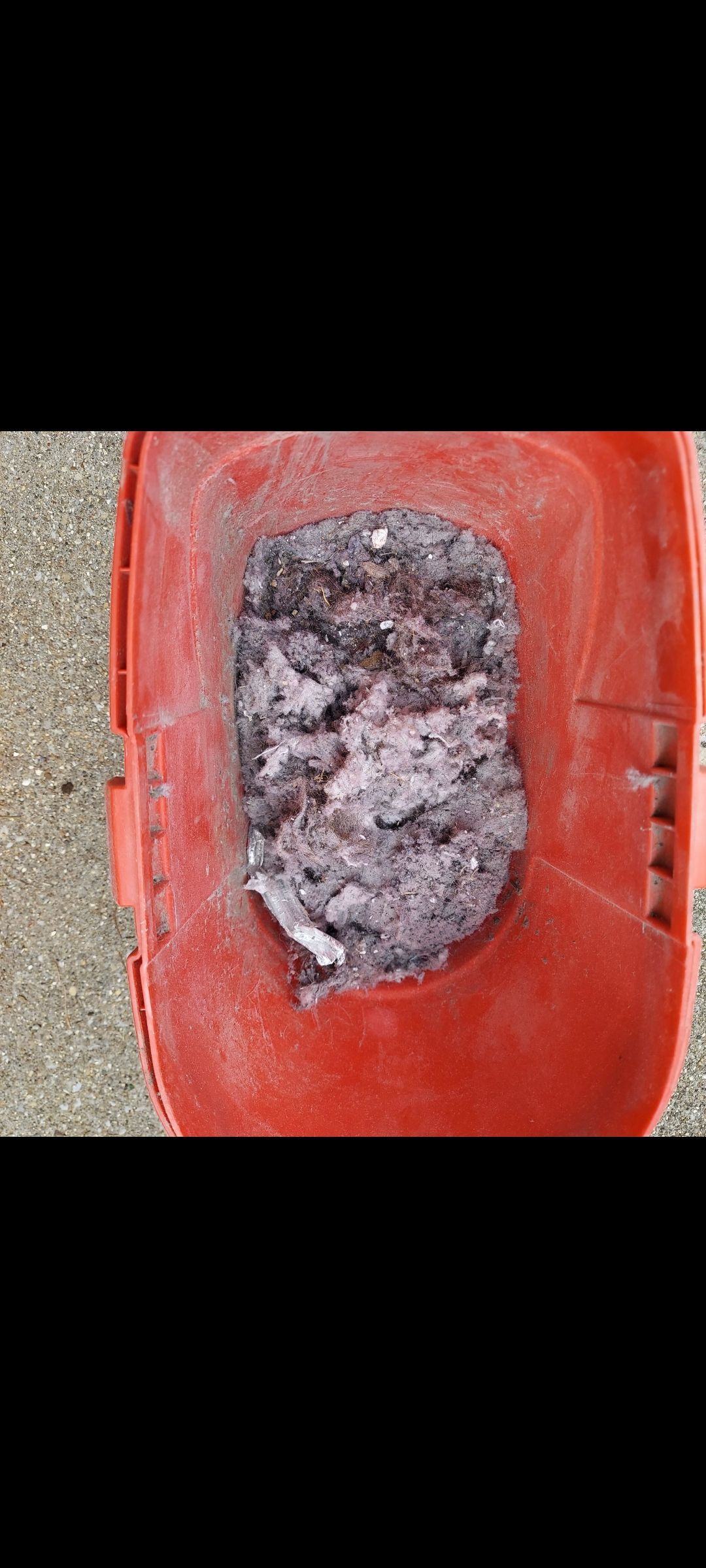 Look at all that lint from the dryer vent