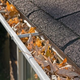 Leaves clogging gutter and downspout