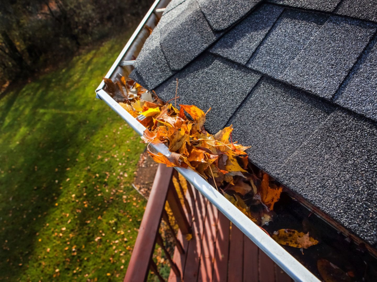 Clogged gutter with leaves: ready for professional cleaning.