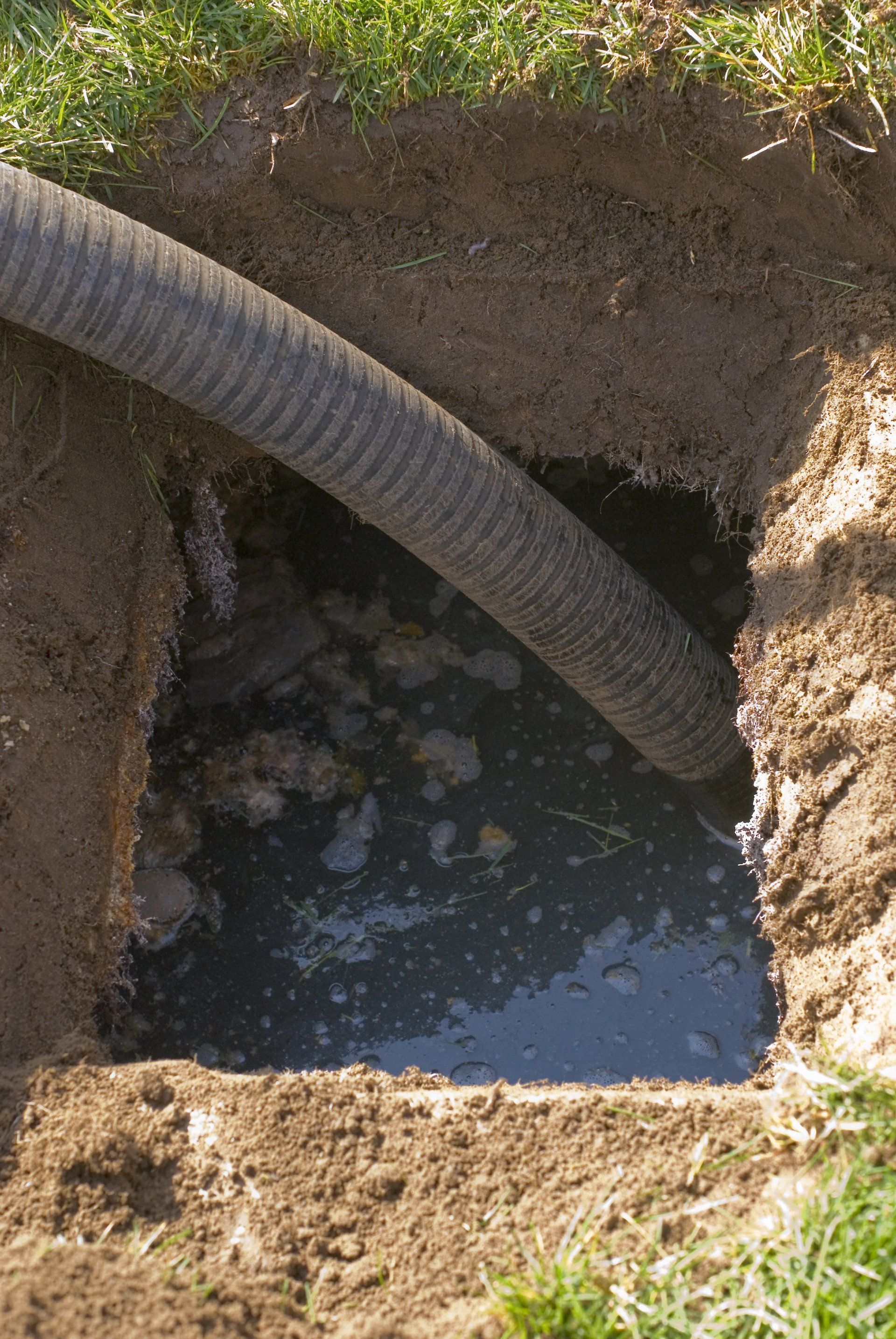 Hole in the ground with a hose inserted, filled with murky water and mud.
