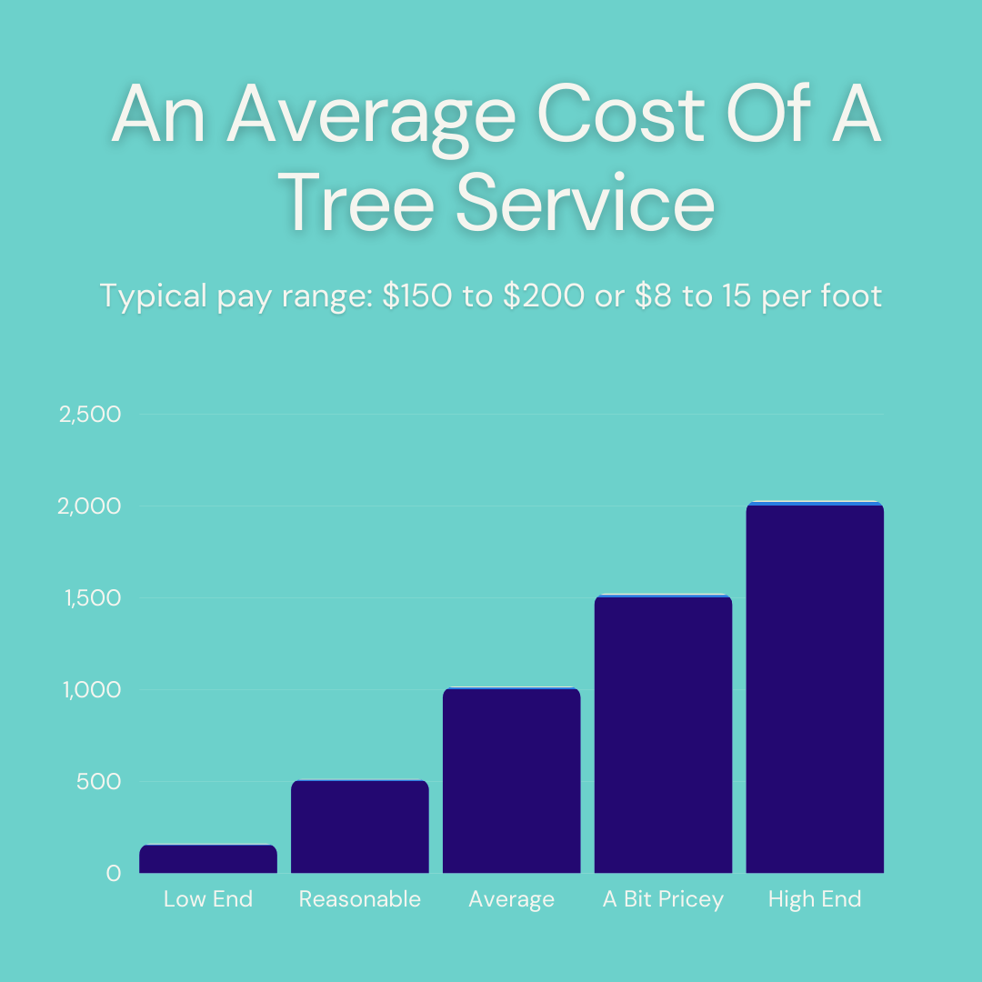 A graph showing the average cost of a tree service