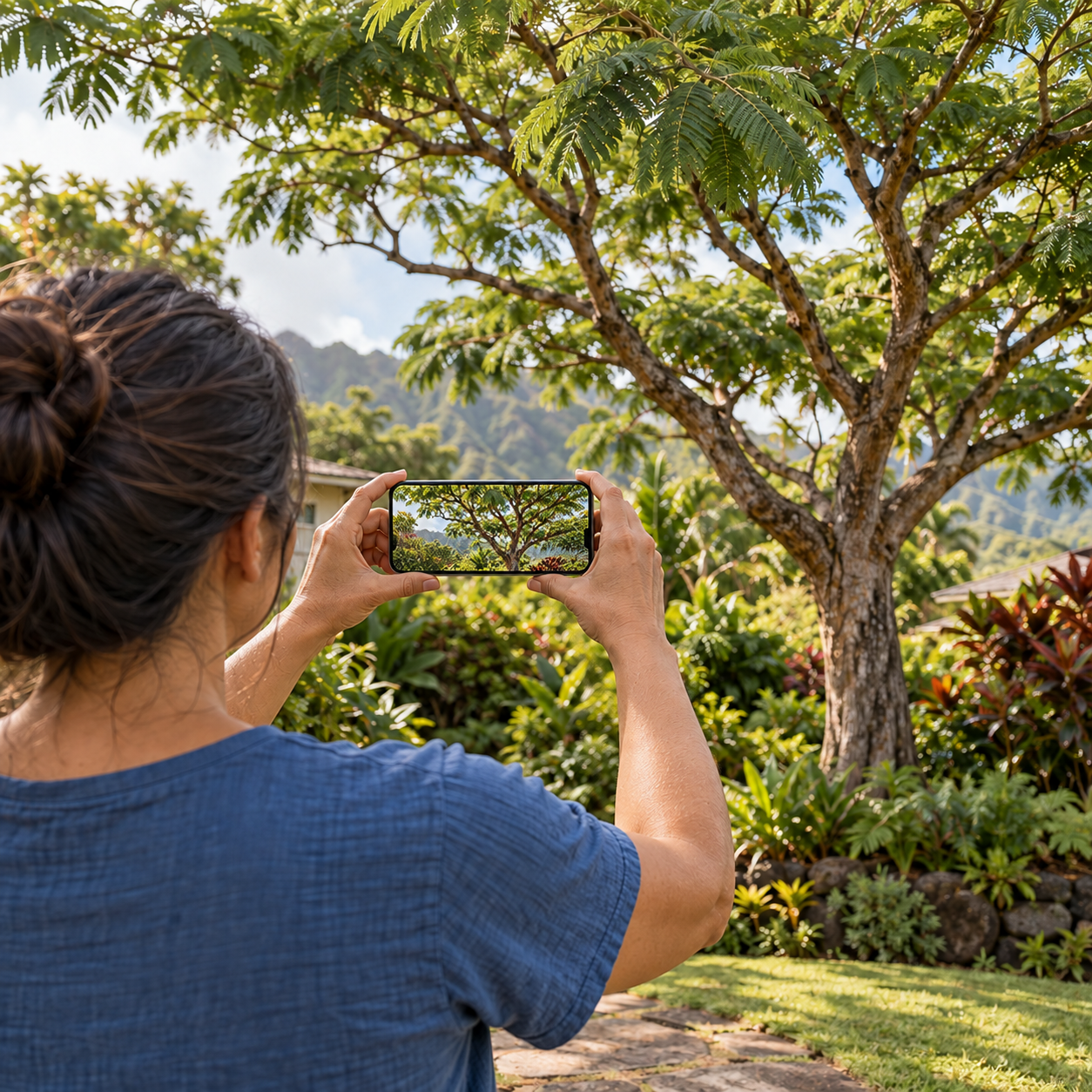 Homeowner photographing a garden tree with a smartphone to document its condition.